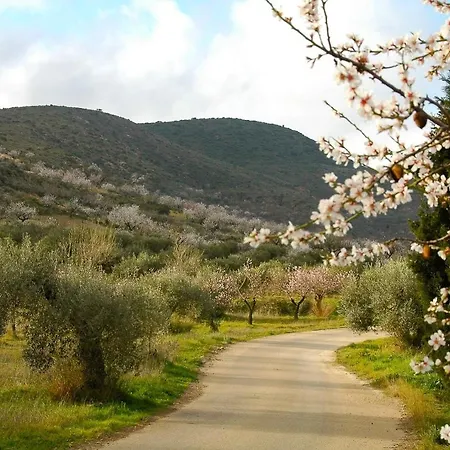 Bed & Breakfast Casa Bedar